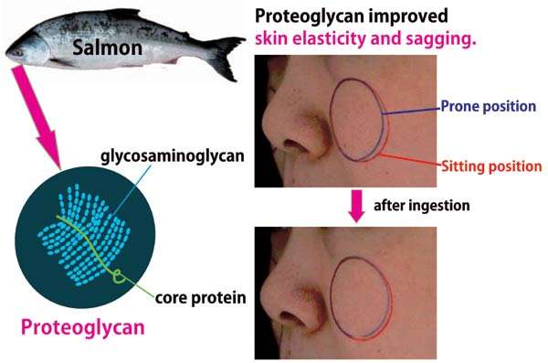 công dụng của Gel pg collagen sụn cá hồi Nhật Bản?